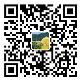 乐发lv下载